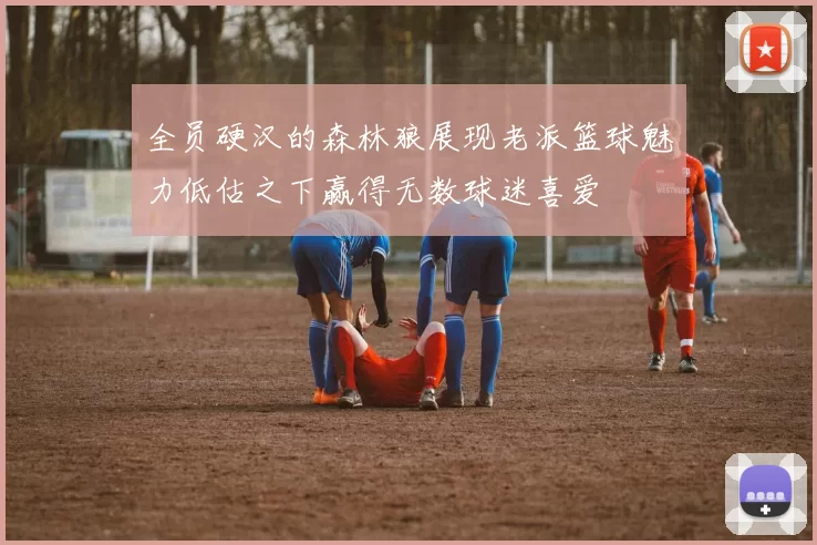 全员硬汉的森林狼展现老派篮球魅力低估之下赢得无数球迷喜爱